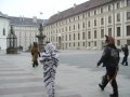 IMGP3190.JPG
